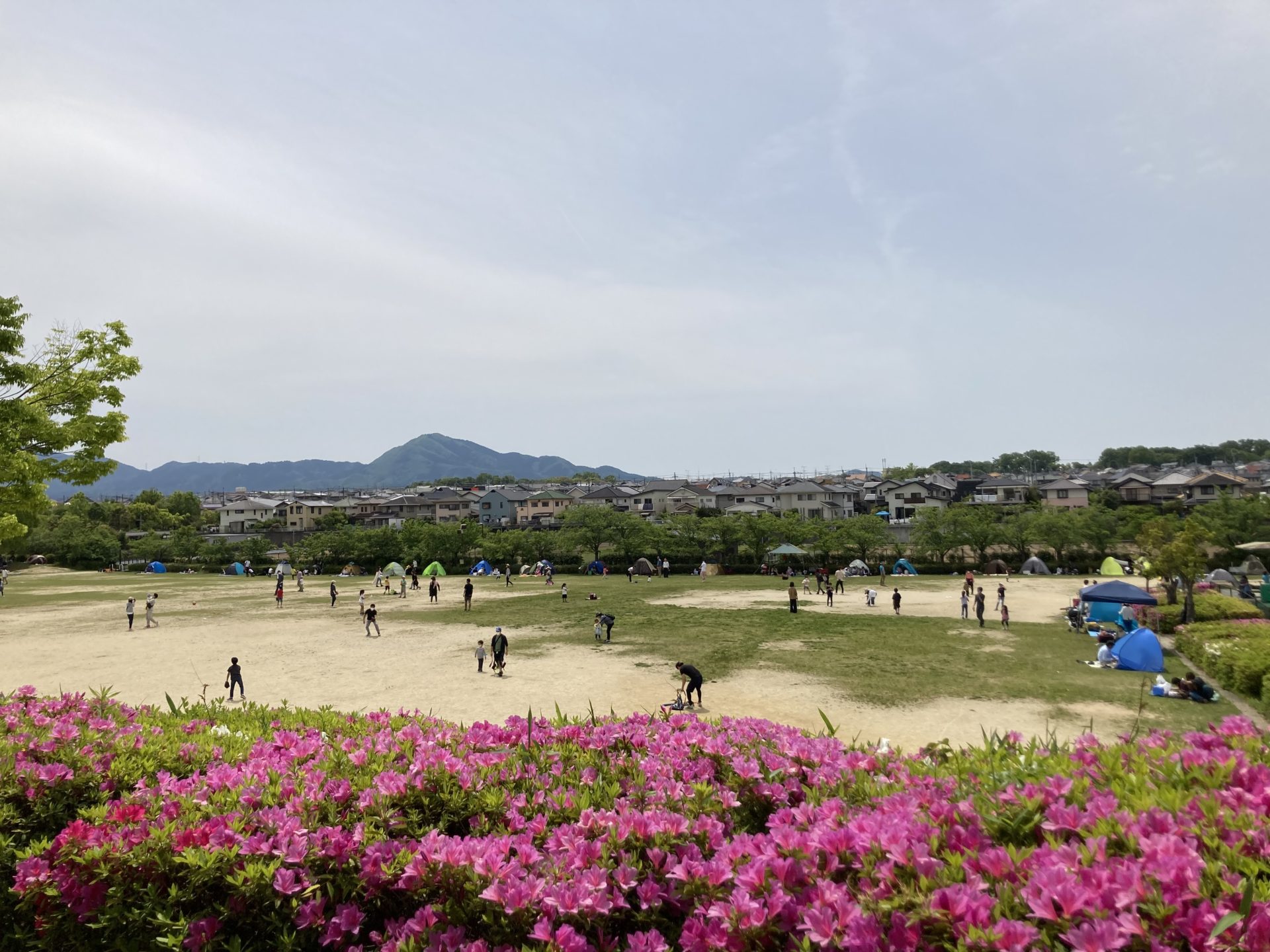 竹取公園のみんなの広場の広いグラウンド。