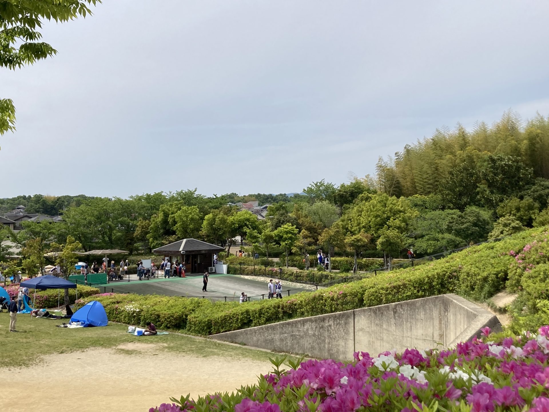 竹取公園の芝すべり
