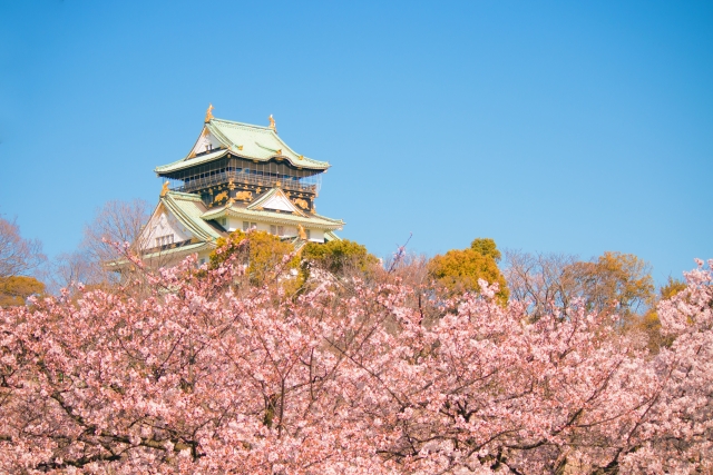 大阪城公園の桜、大阪城と桜と青空