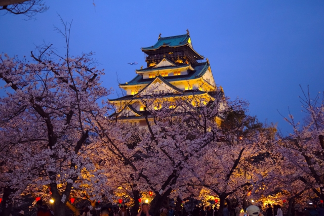 ライトアップされた大阪城と大阪城公園の桜