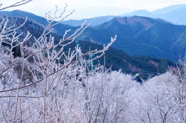 奈良県大和葛城山葛城高原の樹氷