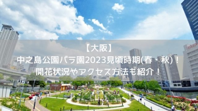 【大阪】中之島公園バラ園2023見頃時期(春・秋)！開花状況やアクセス方法も紹介！