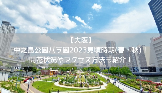 【大阪】中之島公園バラ園2023見頃時期(春・秋)！開花状況やアクセス方法も紹介！