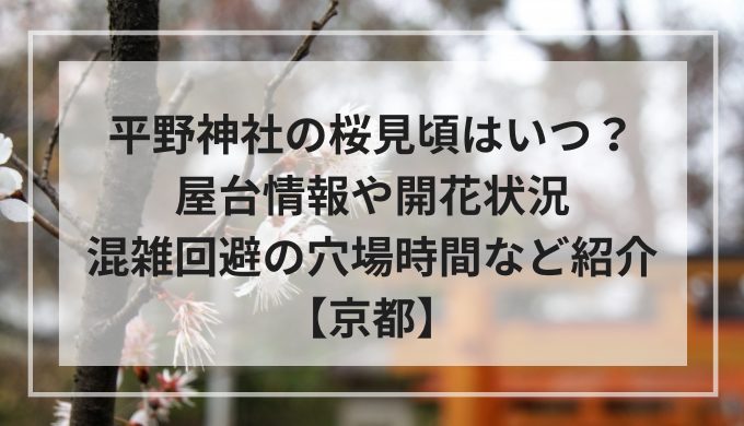 平野神社の桜｜見頃はいつ？屋台情報や開花状況、混雑回避の穴場時間など紹介【京都】
